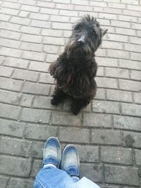 Low section of person standing on ground