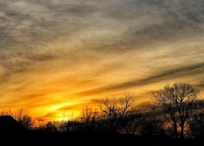 Silhouette trees against sky during sunset
