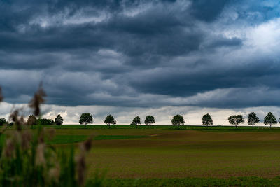 Scenic view of agricultural field against sky