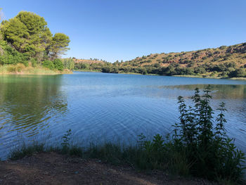 Scenic view of lake against clear blue sky