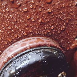 Close-up of water drops on glass