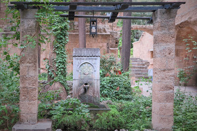 Statue amidst plants against old building