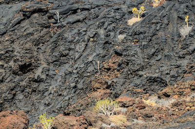 Full frame shot of rocks on land