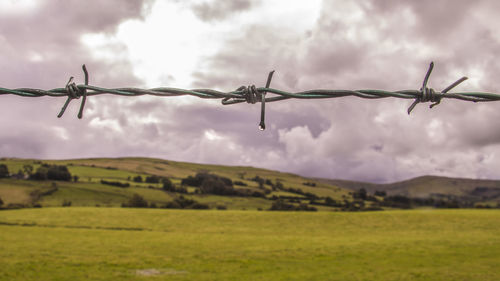 Close-up of barbed wire on field against sky