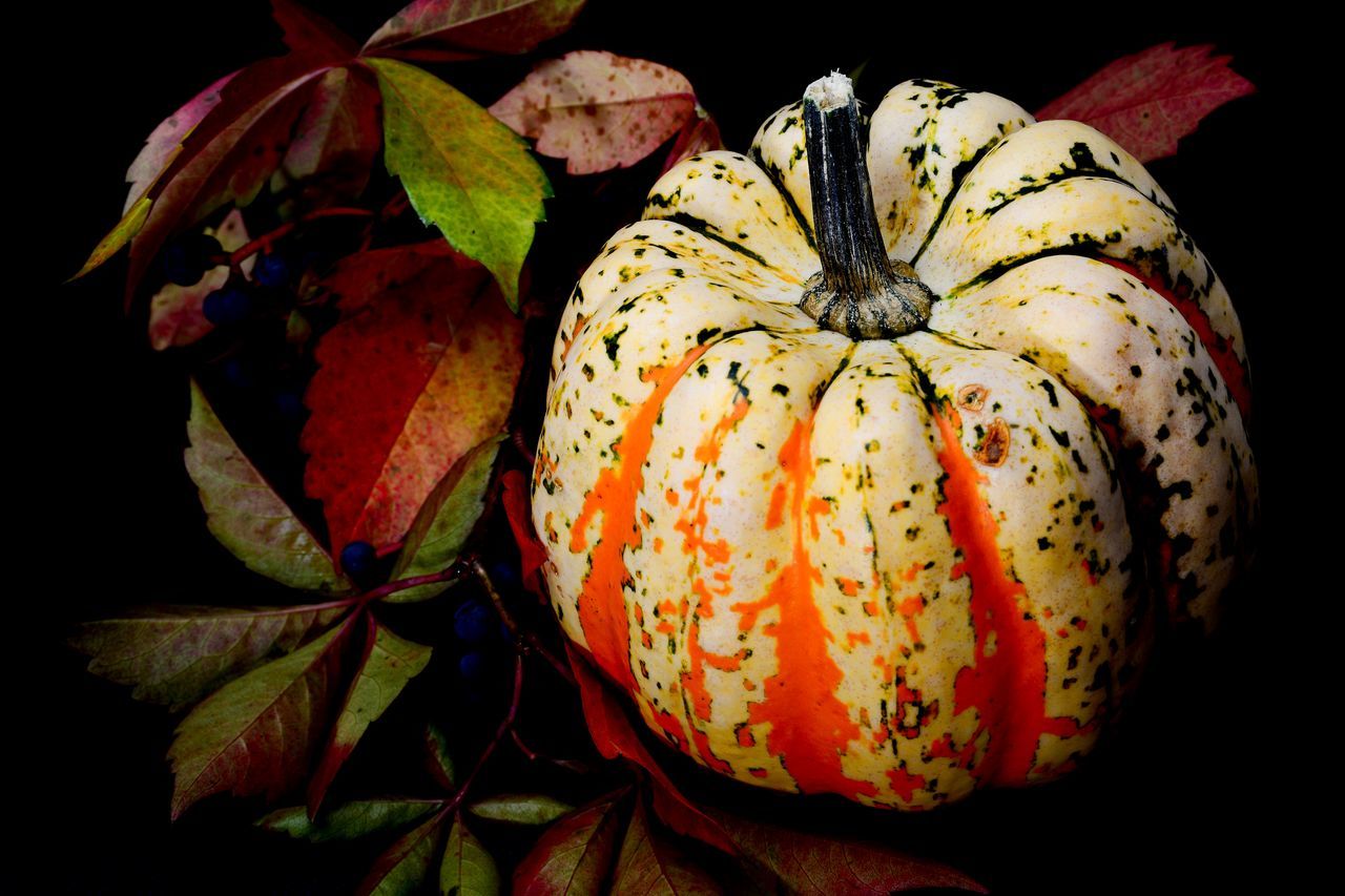 HIGH ANGLE VIEW OF PUMPKIN