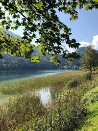 Scenic view of lake against sky