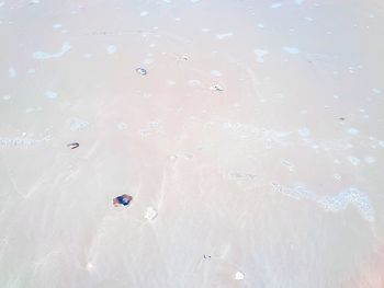 High angle view of people on sea during winter