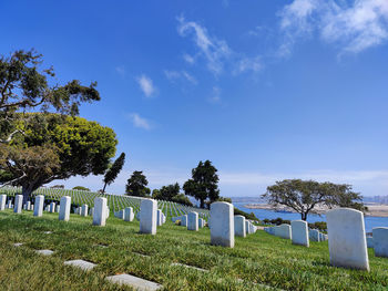 cemetery