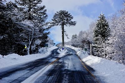 Snow covered road amidst trees against sky