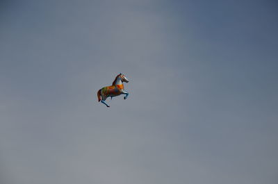 Low angle view of bird flying against clear sky