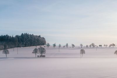 Scenic view of snow covered field against sky