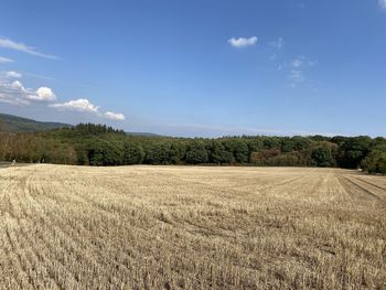 Scenic view of field against blue sky