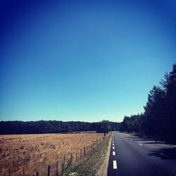 Empty country road along trees