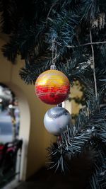 Close-up of christmas tree