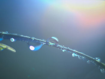 Close-up of water drops on illuminated lighting equipment against sky