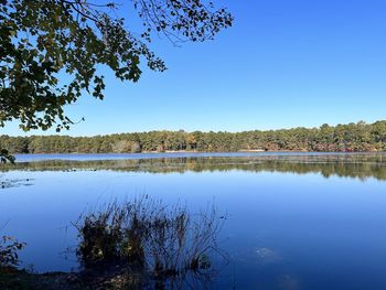 Scenic view of lake against clear blue sky