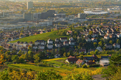 High angle view of trees and houses in town