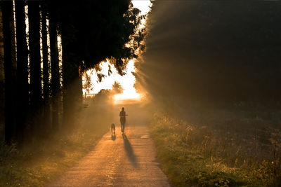 Woman running with dog in autumnal morning sun