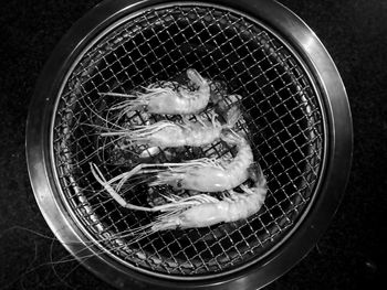 High angle view of fish in basket