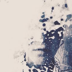 Close-up of plant in background