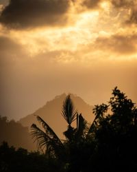 Low angle view of silhouette palm trees against sky during sunset