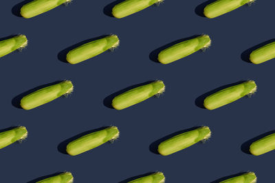 A green ear of corn. juicy corn of a new harvest. seamless pattern. blue background.