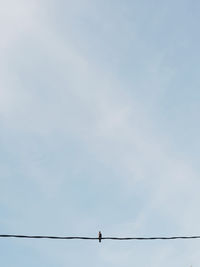 Low angle view of birds perching on cable against sky