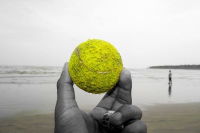 Close-up of hand holding fruit on river against sky