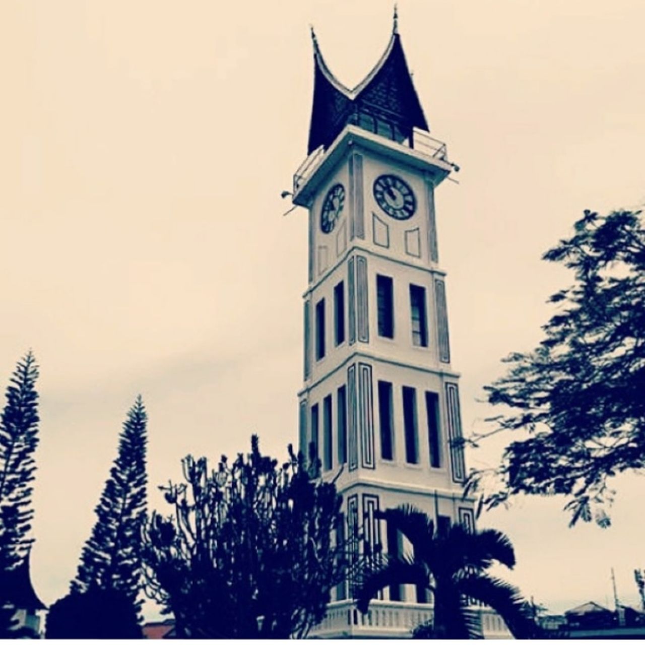 Bunga Kertas Beautiful Caterpillar Flawers Beautiful Flowers Window Animal Hijau Afternoon Calm Ricefield Paddy Cloud - Sky Sky Sunset Sweet Light Beautiful Silent Jam Gadang, Bukit Tinggi, SUMBAR Sumatra  Indonesian Street (Mobile) Photographie