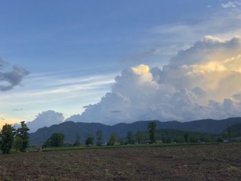 Scenic view of agricultural field against sky