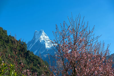 Scenic view of snow covered mountain against blue sky