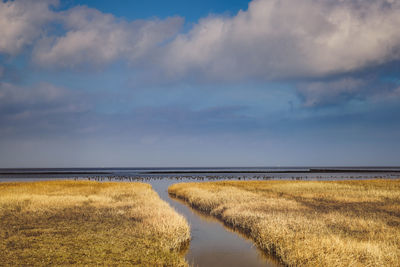 Scenic view of sea against sky