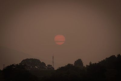 Low angle view of silhouette trees against orange sky