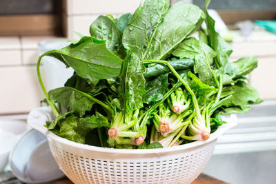 Close-up of vegetables in bowl