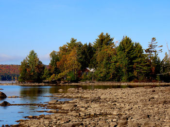 Scenic view of lake against clear sky during autumn