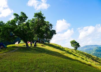 People standing under trees on field against sky