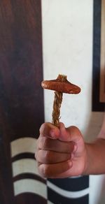 Close-up of hand holding ice cream