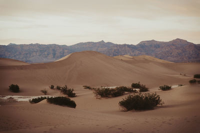 Scenic view of desert against sky