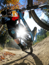 Low angle view of man riding bicycle on tree