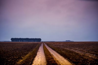 Road amidst agricultural field against sky