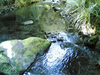 Stream flowing through rocks