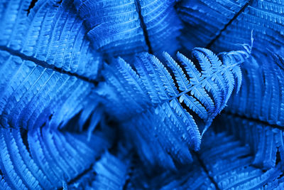 Full frame shot of blue wood