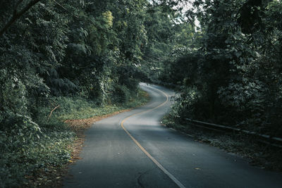 Road amidst trees in forest