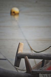 Close-up view of leaf