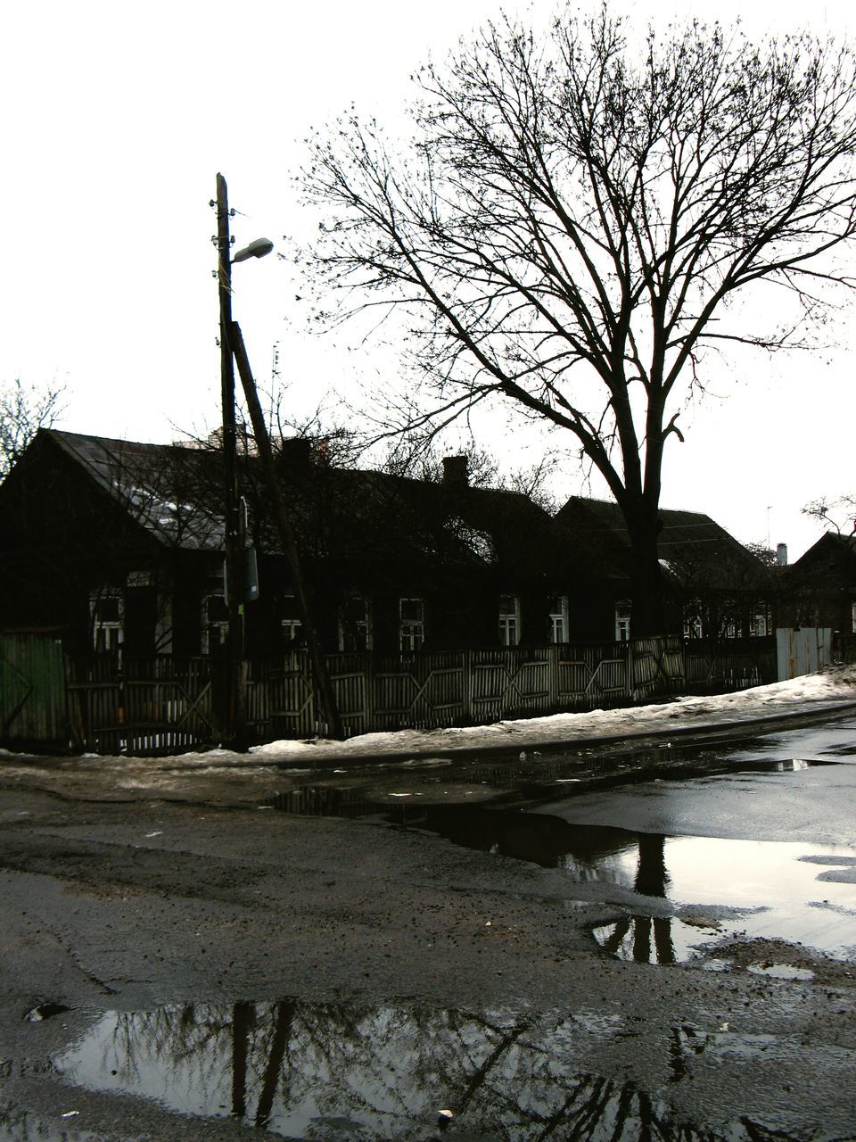 tree, outdoors, built structure, no people, building exterior, day, sky, connection, nature, water, architecture