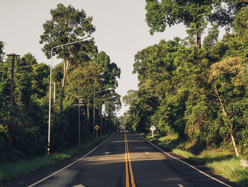 Empty road along trees