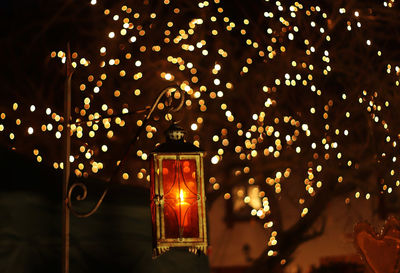 Low angle view of illuminated light hanging on tree at night