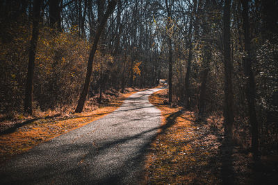 Paved trail surrounded by trees in forest.