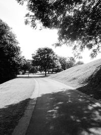 Empty road along trees