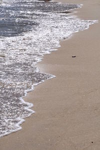 Scenic view of beach